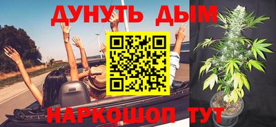 apvp Моздок