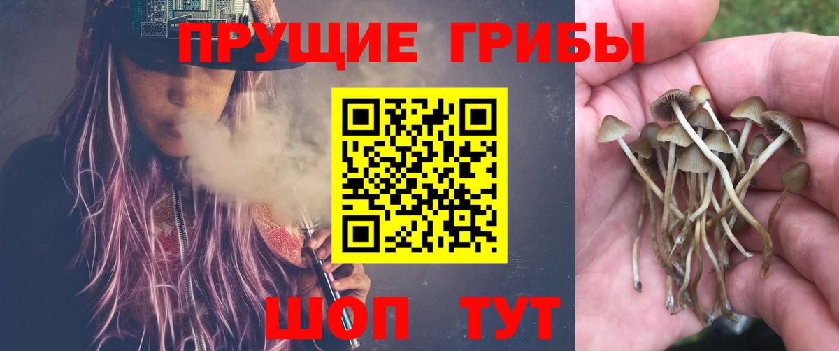 Галлюциногенные грибы Psilocybine cubensis  Галлюциногенные грибы GOLDEN TEACHER  Урай  Вход с VPN 