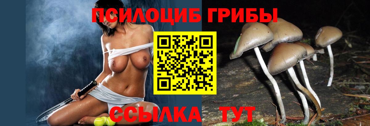 Галлюциногенные грибы мицелий Урай